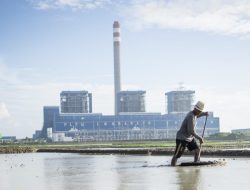 Reduksi 32 Metrik Ton Emisi Karbon di Tahun 2022 Sukses Dilakukan PLN