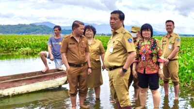 Steven Kandouw Turun Langsung Bersihkan Eceng Gondok di Danau Tondano