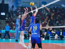 Jakarta Electric PLN Berhasil Tumbangkan Gresik Petrokimia Pupuk Indonesia