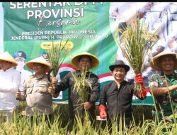 Om Zein Bergabung dalam Panen Raya Padi Nasional